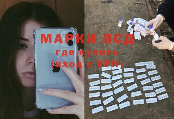 гашик Арсеньев