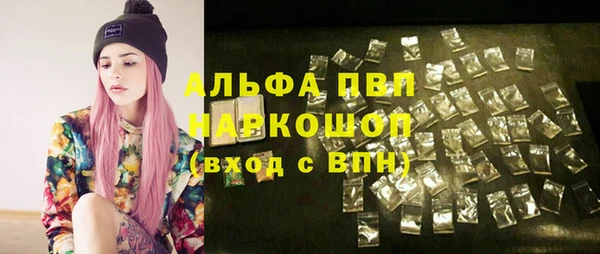 индика Россошь