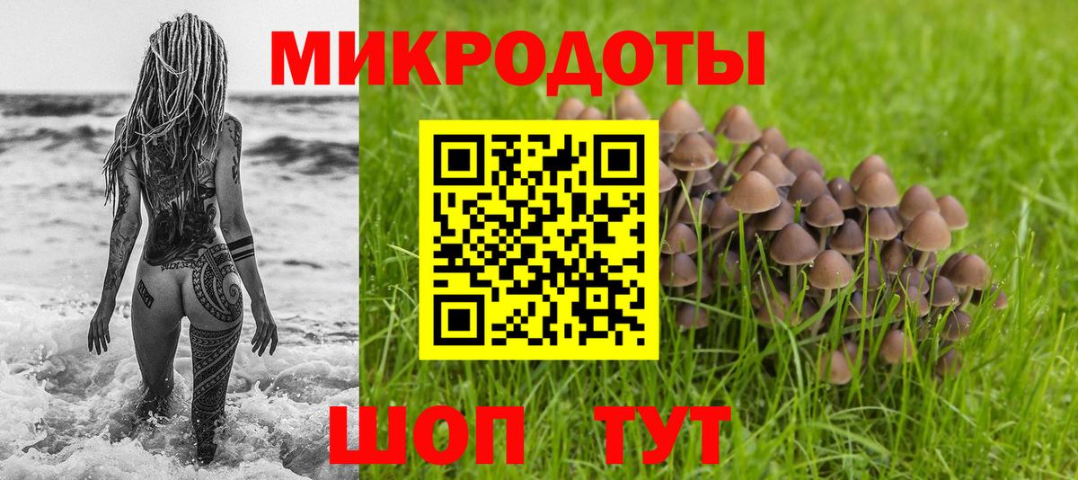 Галлюциногенные грибы Psilocybe Переславль-Залесский